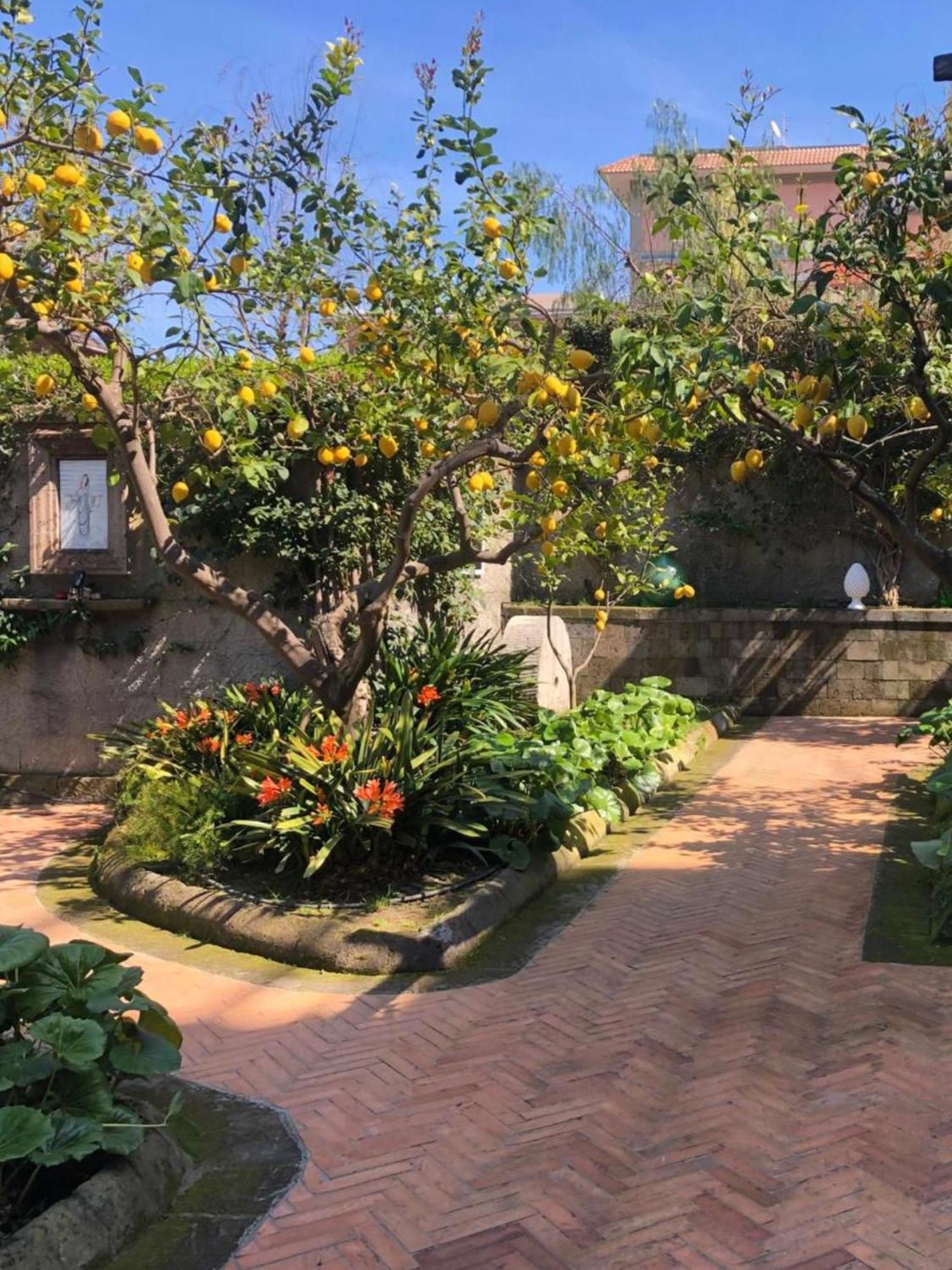 Suite Lidia B&B 索伦托 外观 照片
