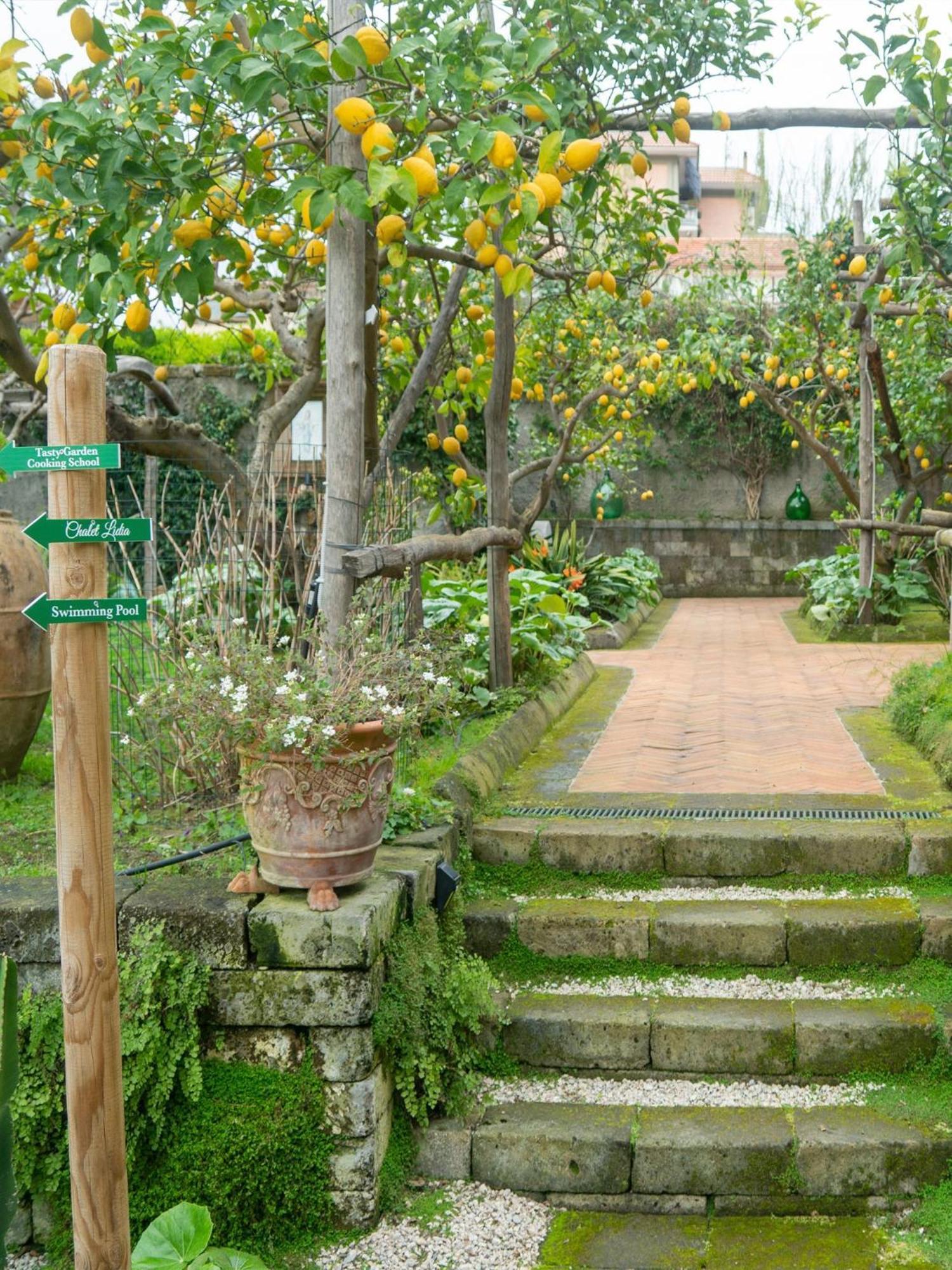 Suite Lidia B&B 索伦托 外观 照片